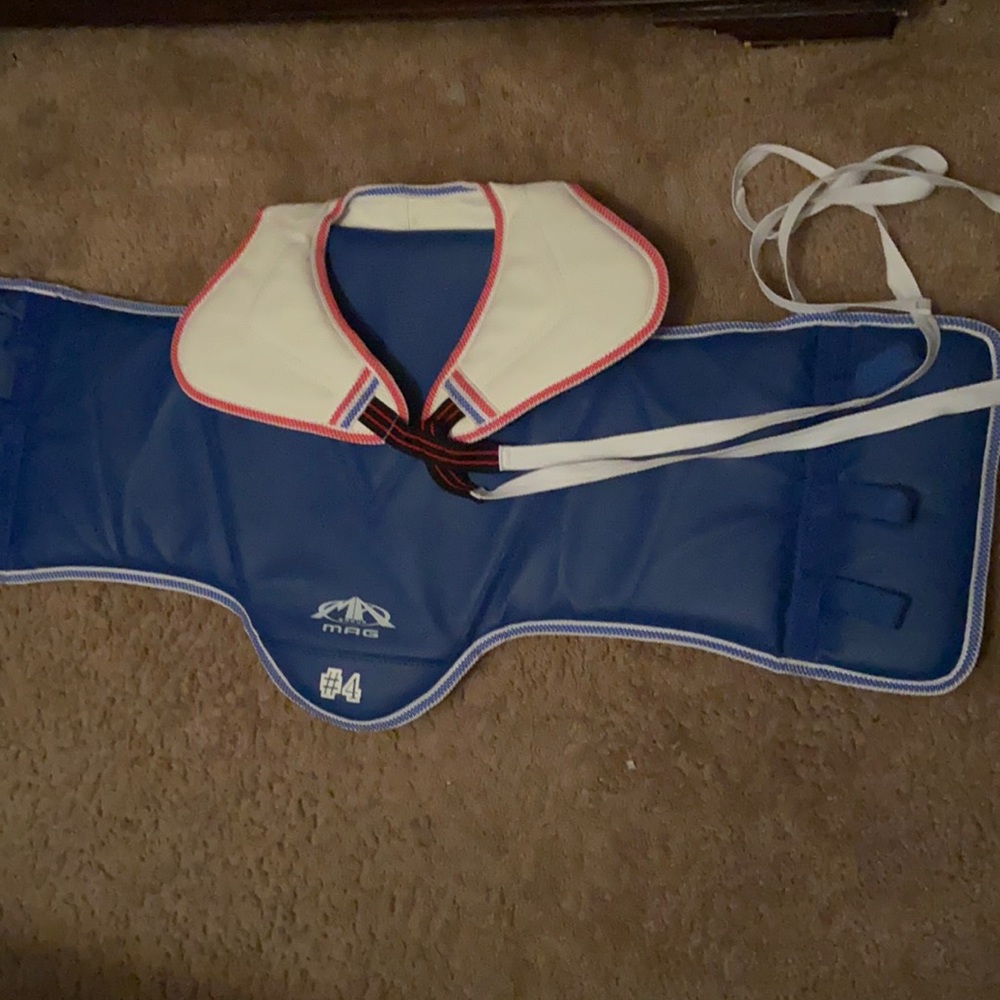 Martial Arts body shield